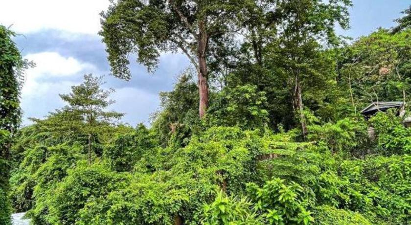 Rueangrat Hotel Ranong Dış mekan fotoğraf